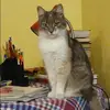 Отзыв от Элла Кудряшова